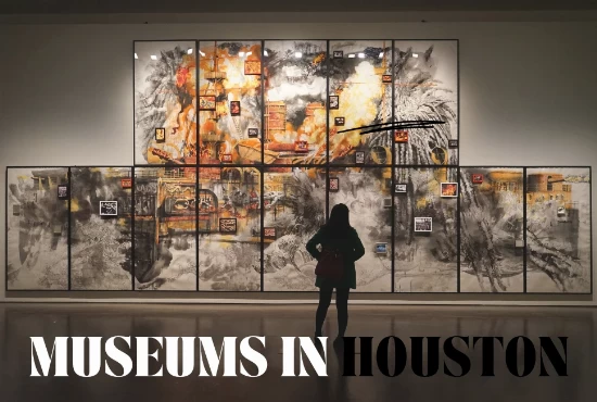 Houston Museums